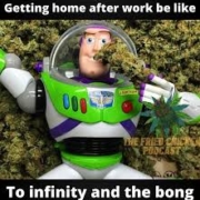 getting home after work be like to infinity and the bong meme