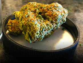 cannabis flower in a grinder