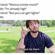 friend wanna smoke more me im already high friend but you can get higher me you got me there meme