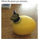 when life gives you lemons meme