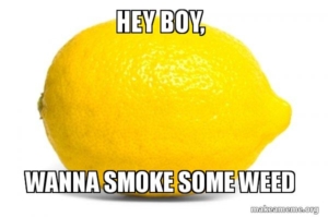 hey boy wanna smoke some weed meme