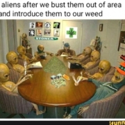 our aliens after we bust them out of area 51 and introduce them to our weed meme
