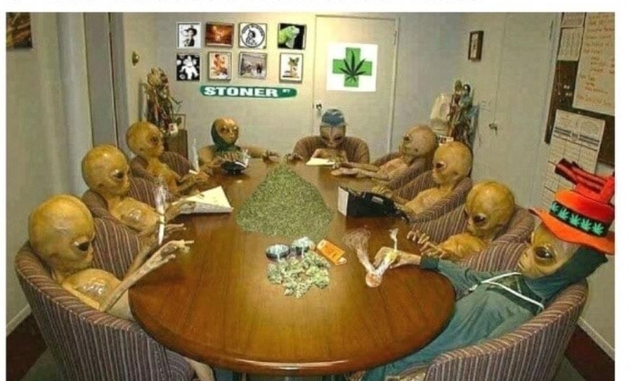 our aliens after we bust them out of area 51 and introduce them to our weed meme