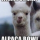 wanna smoke? alpaca bowl meme
