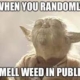 when you randomly smell weed in public yoda meme