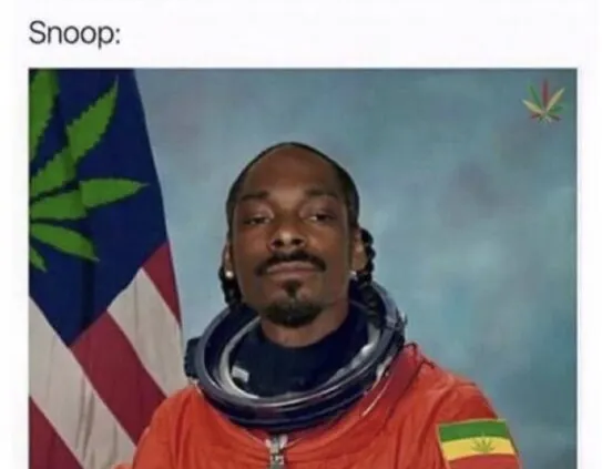 nasa the universe is endless for all we know there could be a planet covered with marijuana snoop dogg