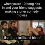 when youre 10 bong hits in and your friend suggests making stoner comedy movies thats a brilliant idea meme