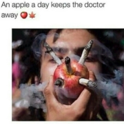 an apple a day keeps the doctor away apple bong meme