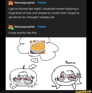 i got so stoned last night i visualized myself enjoying a huge bowl of mac and cheese so vividly that i forgot to eat dinner bc i thought i already ate @famousprophet tumblr meme ifunny.co
