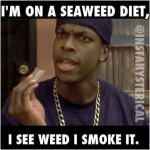 im on a seaweed diet i see weed i smoke it @instahysterical meme