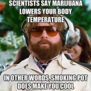 scientists say marijuana lowers your body temperature in other words smoking pot does make you cool tropic thunder meme