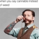when you say cannabis instead of weed stoner meme