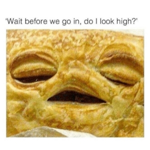 wait before we go in do i look high? grilled furby meme