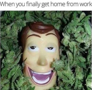 when you finally get home from work woody from toy story in weed