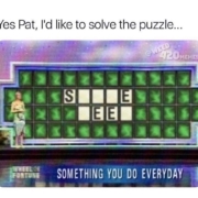yes pat id like to solve the puzzel wheel of fortune something you do everyday meme smoke weed