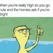 when youre really high so you go mute and the homies ask if youre alright ed edd and eddy meme