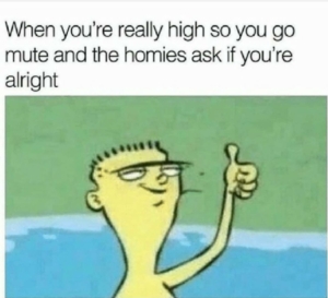 when youre really high so you go mute and the homies ask if youre alright ed edd and eddy meme