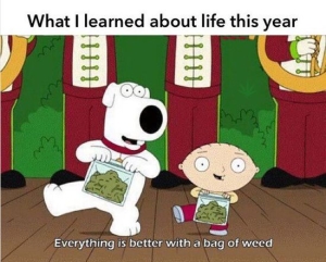 what i learned about life this year everything is better with a bag of weed brian griffin and stewie griffin dancing with a bag of weed meme
