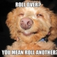 roll over? you mean roll another? dog meme