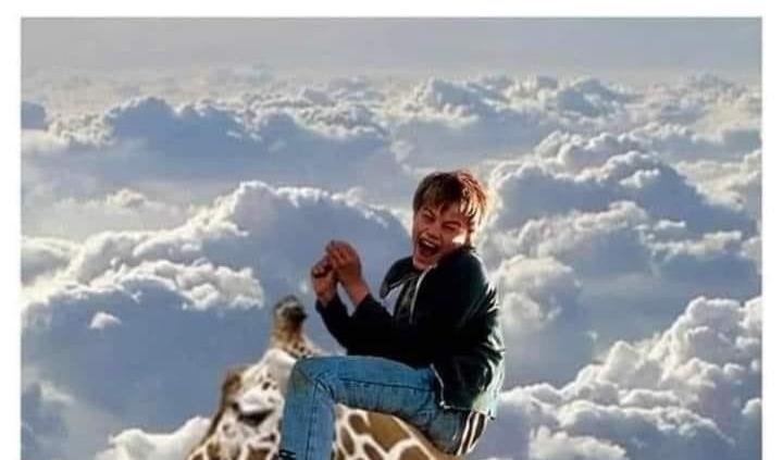 them you better not show up high me showing up Leonardo DiCaprio on a giraffe in the clouds meme