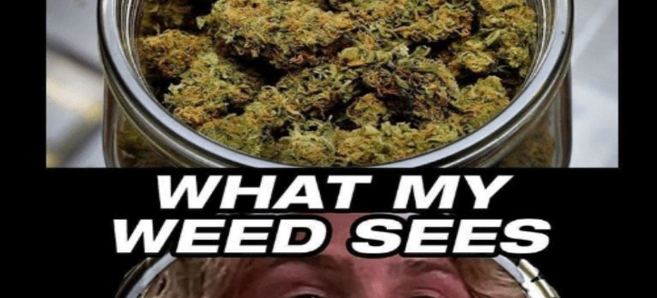 what i see vs what my weed sees meme