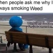 when people ask me why im always smoking weed without my cookies im just a monster cookie monster looking into the ocean meme