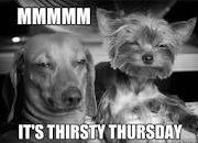 mmmm it's thirsty thursday dogs weed meme