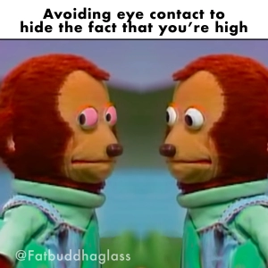 avoiding eye contact to hide the fact that youre high @fatbuddhaglass meme