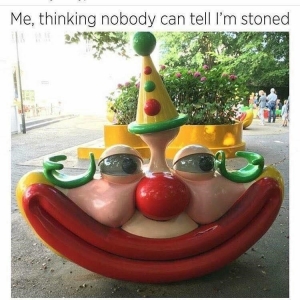 me thinking nobody can tell im stoned clown meme