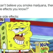 i can't believe you smoke marijuana theres side effects you know? the side effects spongebob meme