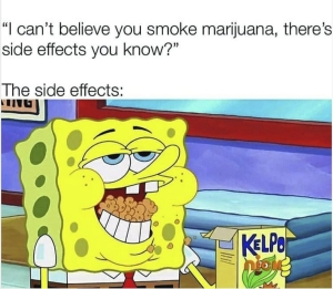 i can't believe you smoke marijuana theres side effects you know? the side effects spongebob meme
