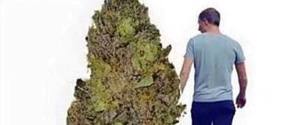 just remember who was there for you when no one else was cannabis flower and man walking meme
