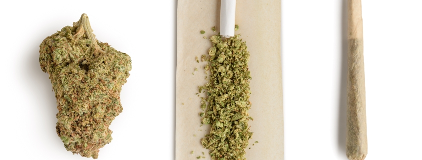 Marijuana bud ,crushed bud of marijuana on the rolling paper and rolling cannabis joint.