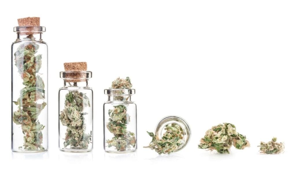Crafting Your Perfect Cannabis Experience: How to Find the Ideal Strain at Durango REC Room