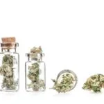 Crafting Your Perfect Cannabis Experience: How to Find the Ideal Strain at Durango REC Room