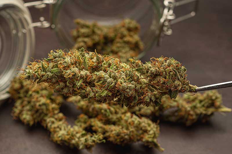 | Durango Rec Room best weed dispensary albuquerque new mexico