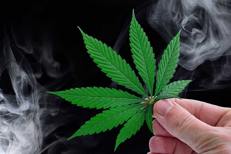 | Durango Rec Room effects of cannabis strains and cbd - hand holding marijuana leaf