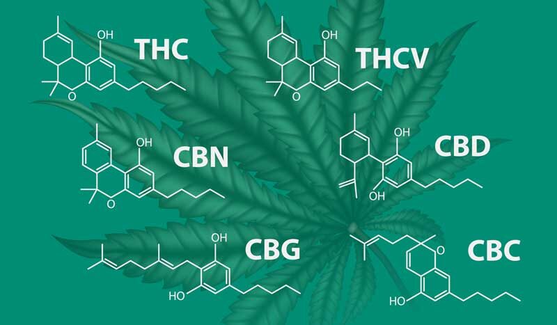 | Durango Rec Room what are cannabinoids - molecular diagrams