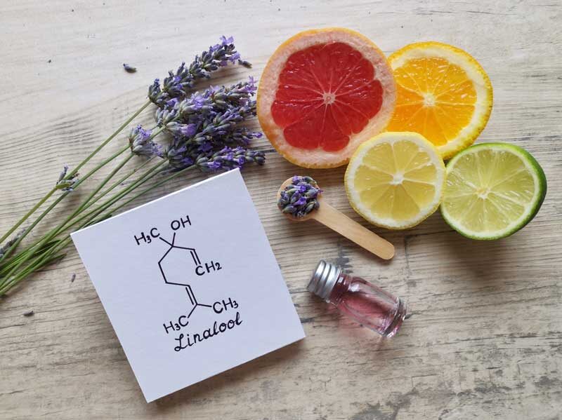| Durango Rec Room what are linalool terpenes used for