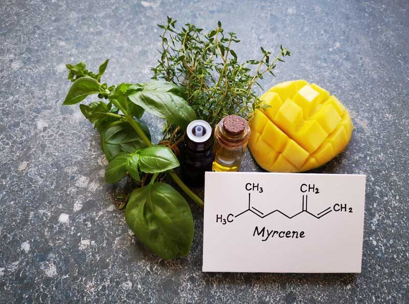 | Durango Rec Room what are myrcene terpenes used for