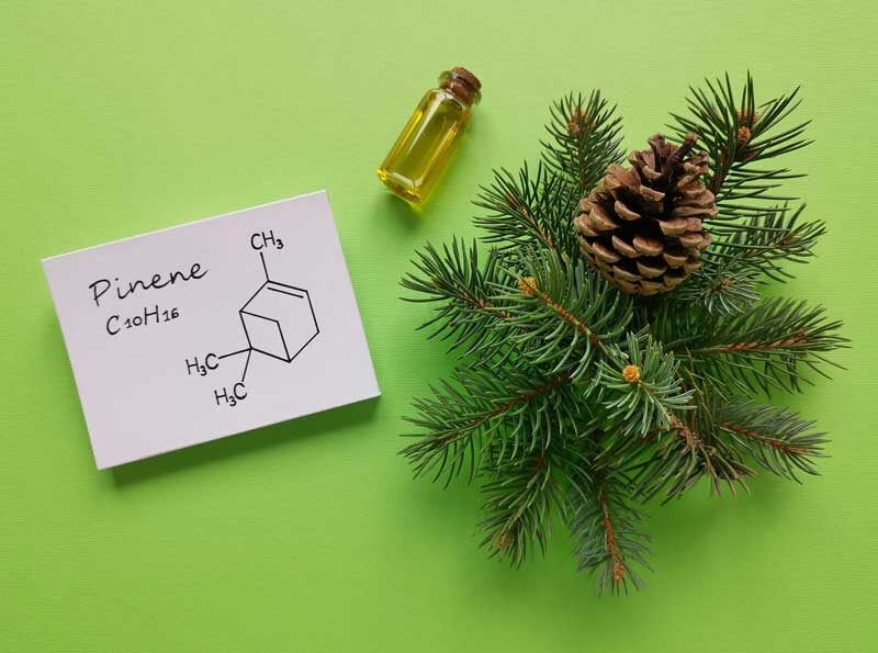 | Durango Rec Room what are pinene terpenes used for