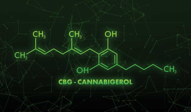 | Durango Rec Room what is cbg in gummies